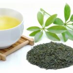 ダイエットに効果的な緑茶とは？【種類や選び方について】